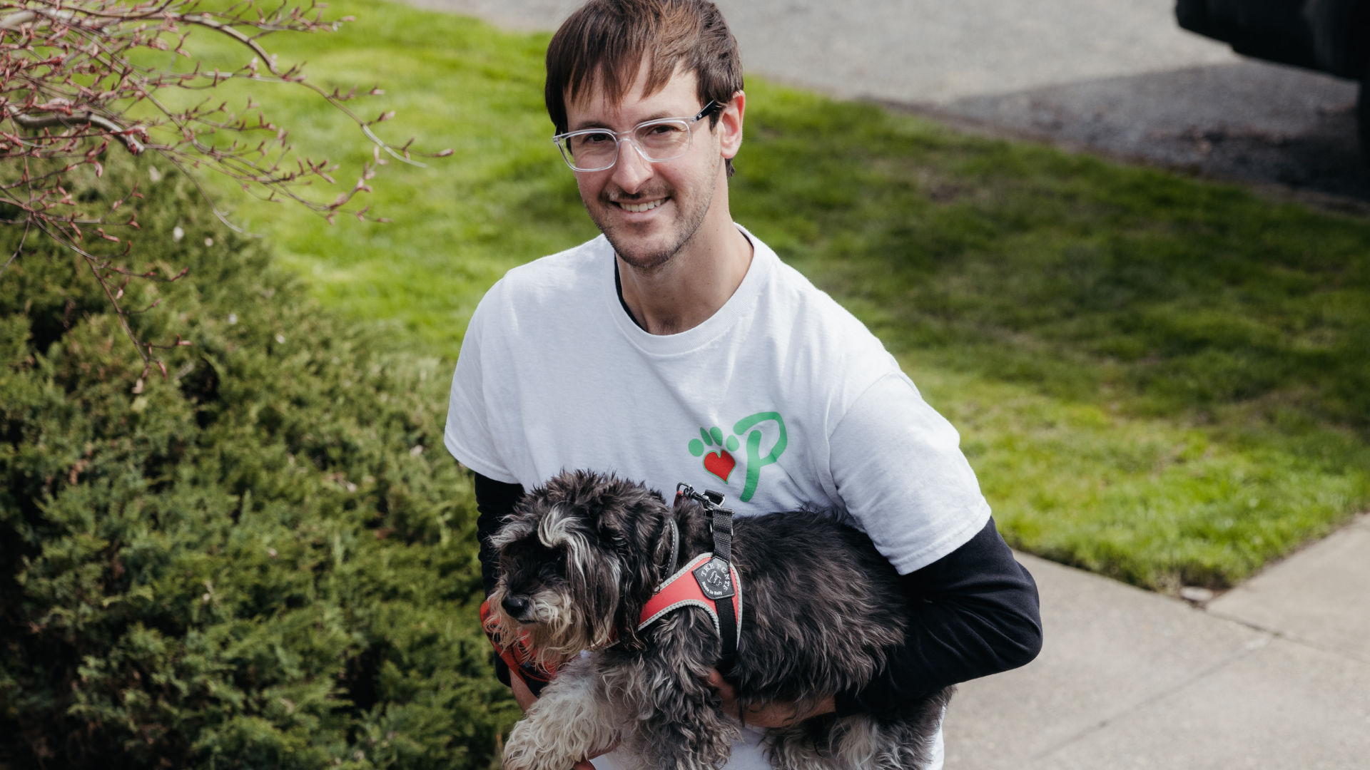 Interesting Info About Pet Sitting Portland Oregon