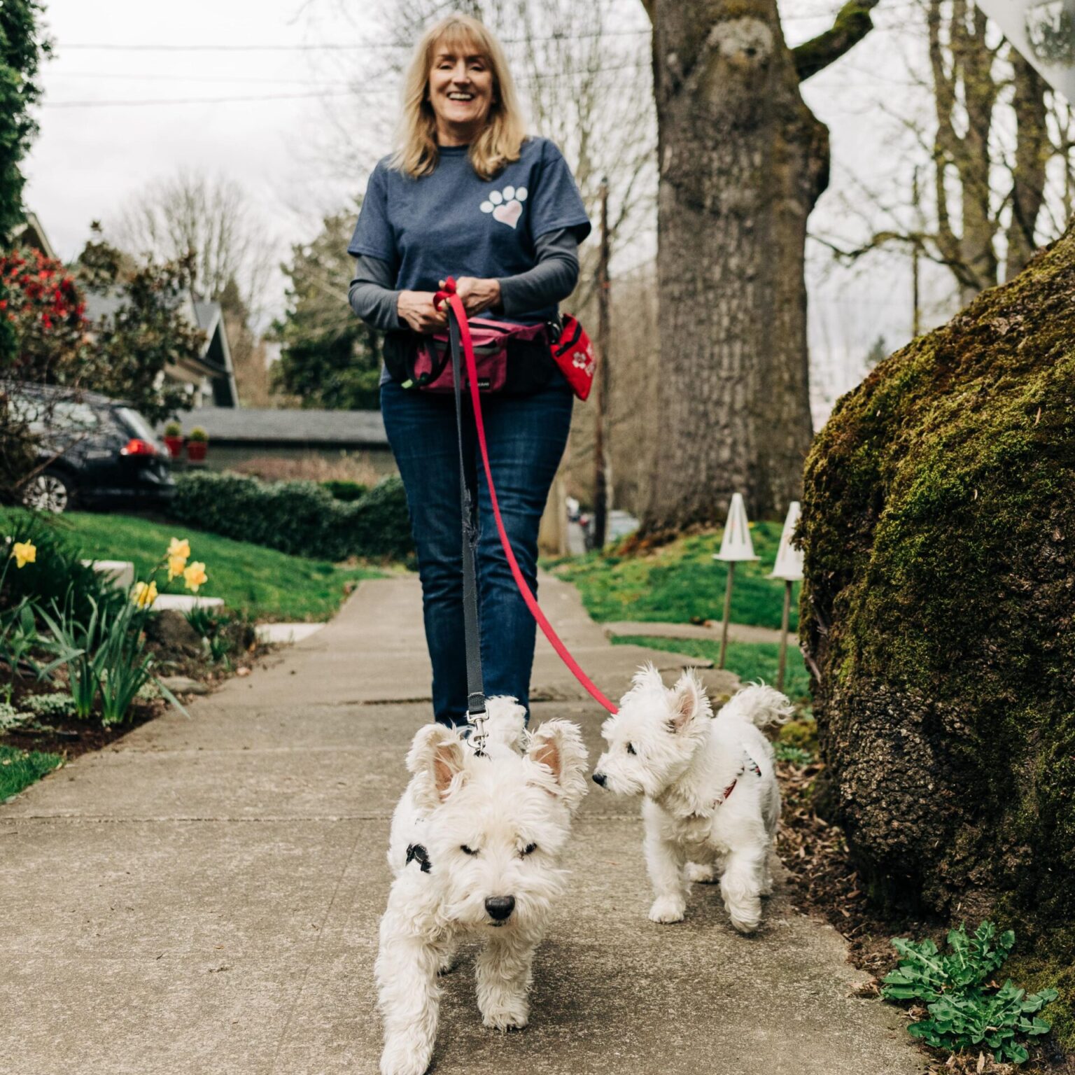 About | PetSitter Portland