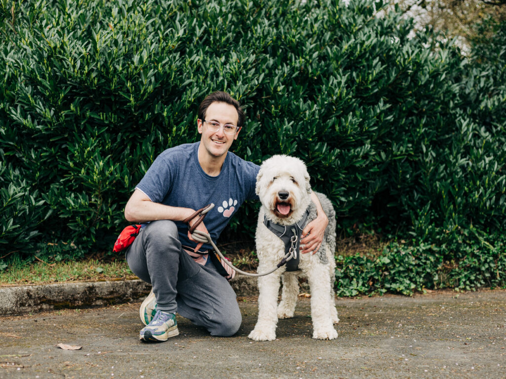 Professional dog walker walking a Sheepdog in a Portland neighborhood.